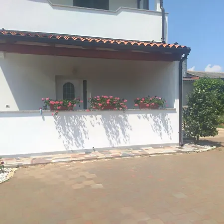 Ivana Novigrad Istria